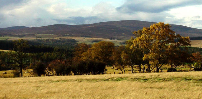 View of Roys Hill from Tombreck