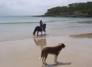 Kirsty & Harley on the beach